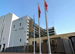 Standard Flag Pole