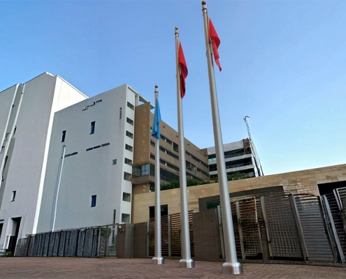 Standard Flag Pole